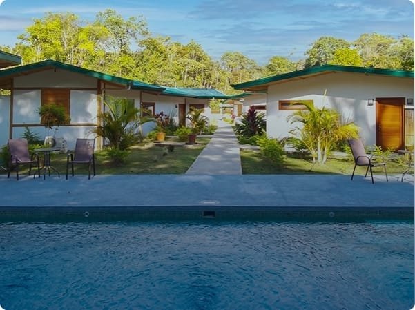Scenic view of cozy vacation cabins surrounded by lush greenery, featuring a well-maintained pathway and tropical landscaping, ideal for a relaxing getaway.
