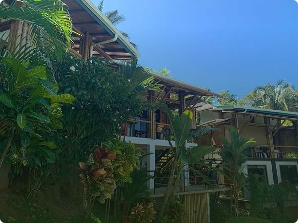 Tropical eco-friendly house surrounded by lush greenery and palm trees under a clear blue sky.