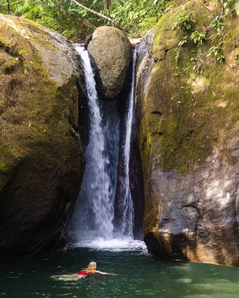 Waterfall cascading down moss-covered rocks into a clear pool, surrounded by lush greenery, showcasing the beauty of nature.