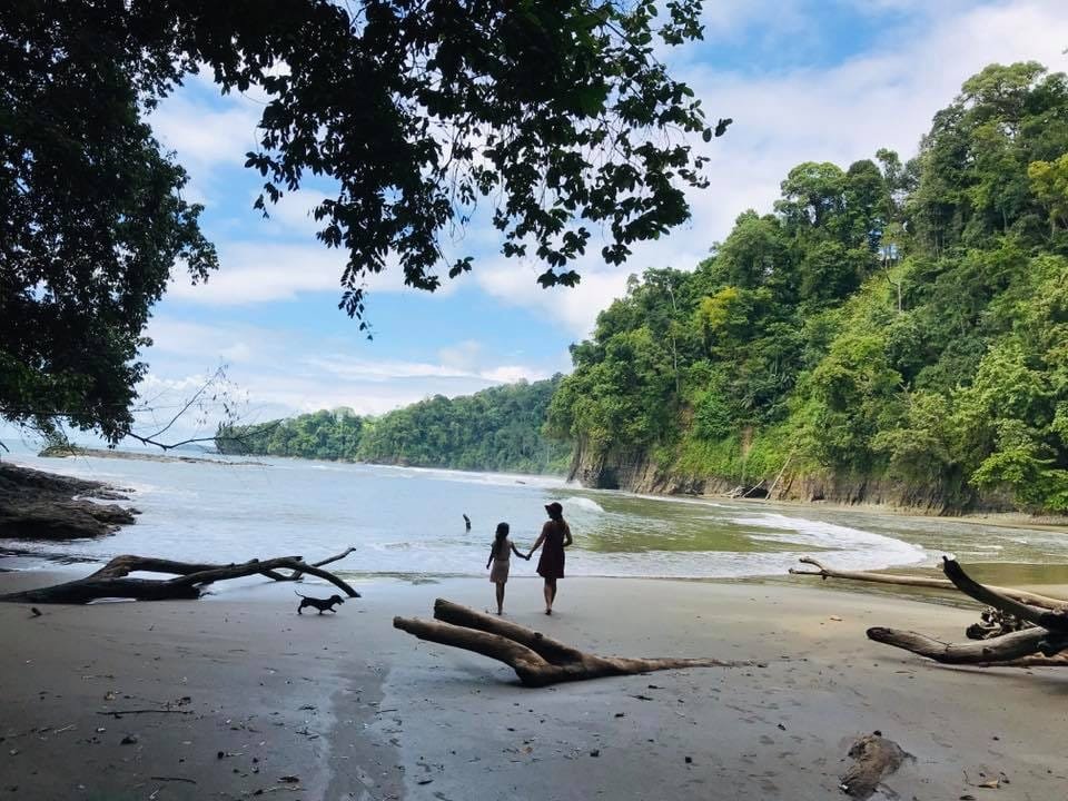Two people walking along a serene beach with lush green hills in the background, surrounded by trees and driftwood. The scene captures a peaceful coastal landscape under a clear blue sky.