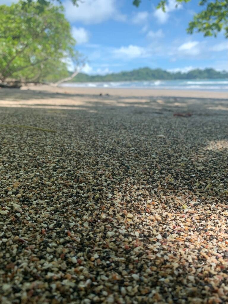 Close-up view of fine sand on a beach, surrounded by lush greenery and a clear blue sky, with gentle waves in the background.