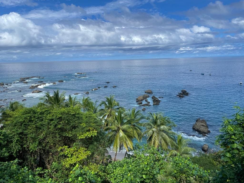 Coastal landscape featuring lush greenery and palm trees, overlooking a calm ocean with rocky outcrops under a blue sky with scattered clouds.